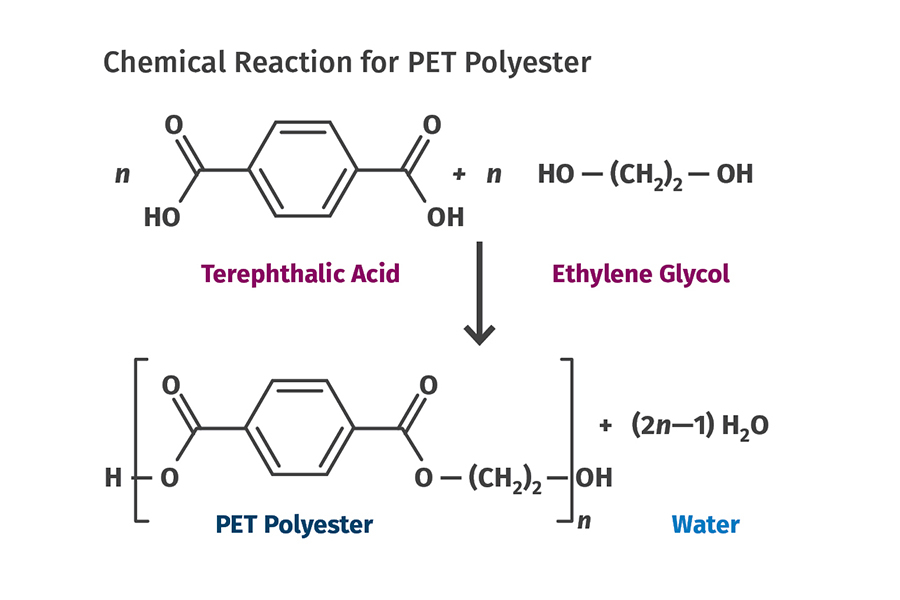 PET (polyethylene terephthalate) polymerisation: terephthalic acid (HOOC–C6H4–COOH) + ethylene glycol (HO–CH2CH2–OH) → polyester chain –[O–CH2CH2–O–C(=O)–C6H4–C(=O)]n– with water eliminated at every ester link