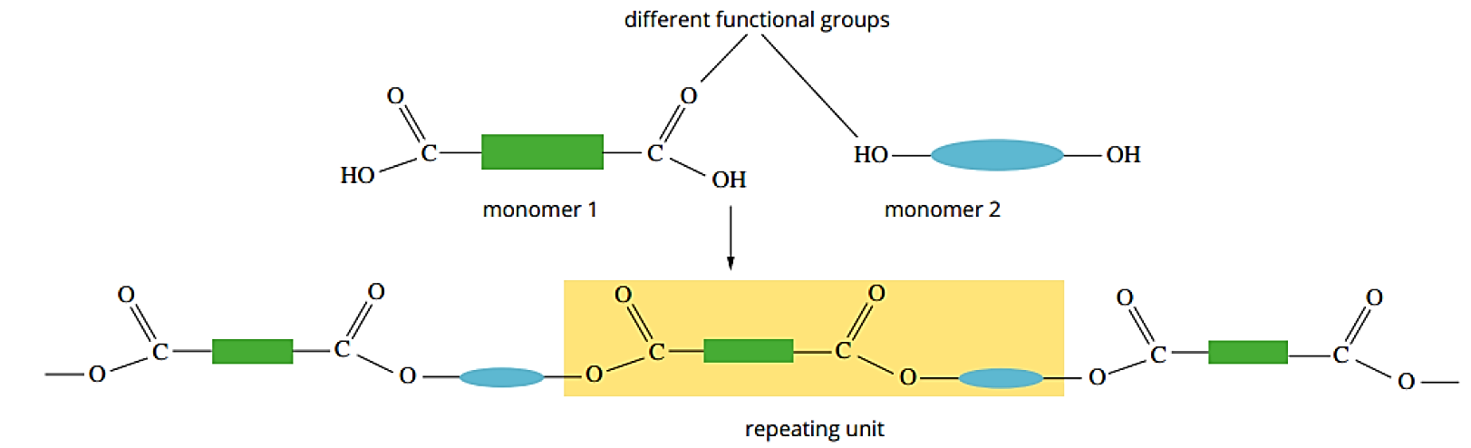 Abstract polyester polymerisation: monomer 1 (dicarboxylic acid with two –COOH, green-rectangle backbone) + monomer 2 (diol with two –OH, blue-ellipse backbone) condense to form an ester-linked polyester chain; the yellow box highlights the repeating unit