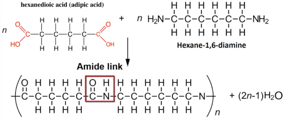 Nylon-6,6 condensation polymerisation: adipic acid (HOOC–(CH2)4–COOH) + hexamethylenediamine (H2N–(CH2)6–NH2) → polyamide chain with amide (–CO–NH–) linkages and water eliminated at each link