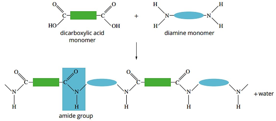 Abstract polyamide polymerisation: dicarboxylic acid monomer (two –COOH, green-rectangle backbone) + diamine monomer (two –NH2, blue-ellipse backbone) condense to form an amide-linked polyamide chain plus water; one amide group is highlighted in blue