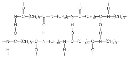 Two parallel Nylon-6,6 chains with hydrogen bonds (dotted lines) connecting the N-H of one chain to the C=O of the adjacent chain at every amide group